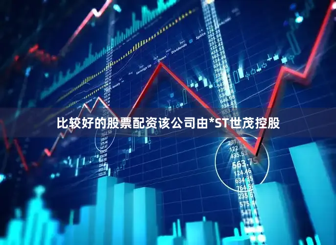 比较好的股票配资该公司由*ST世茂控股